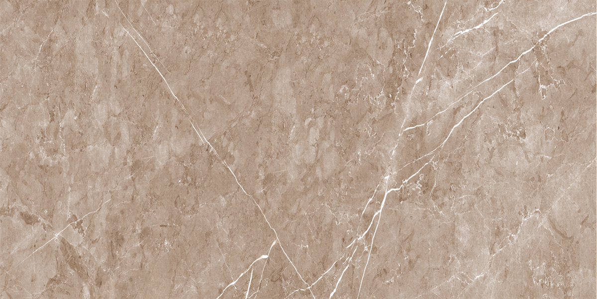 Gạch ốp lát 60x120 Ecotiles ECO-P-61207 f2