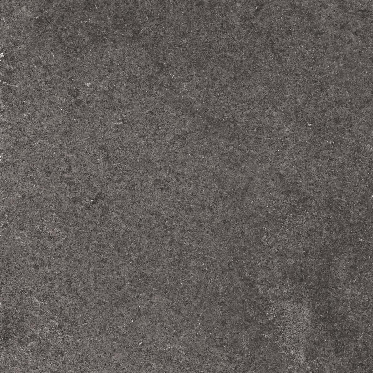 Gạch ốp lát 60x60 Ecotiles ECO-RC-6609 f2