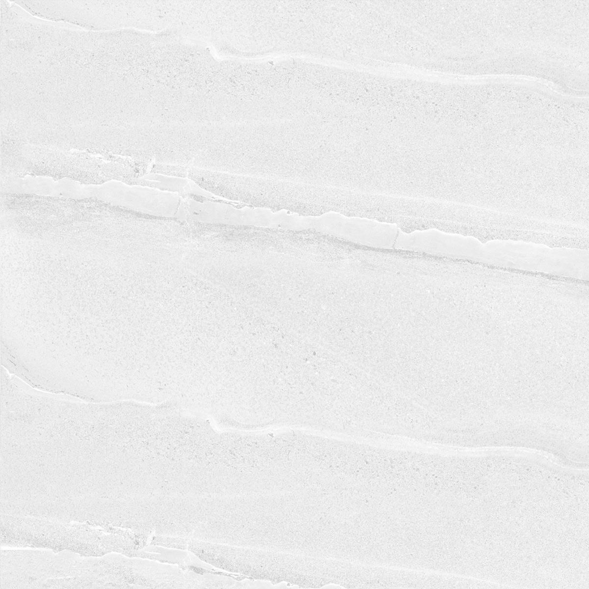 Gạch ốp lát 60x60 Ecotiles ECO-RC-6612 f2