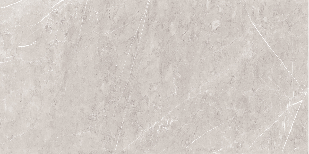 Gạch ốp lát 60x120 Ecotiles ECO-P-61205 f2