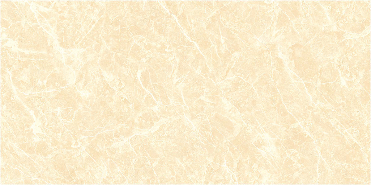 Gạch ốp lát 60x120 Ecotiles ECO-P-61208 f2