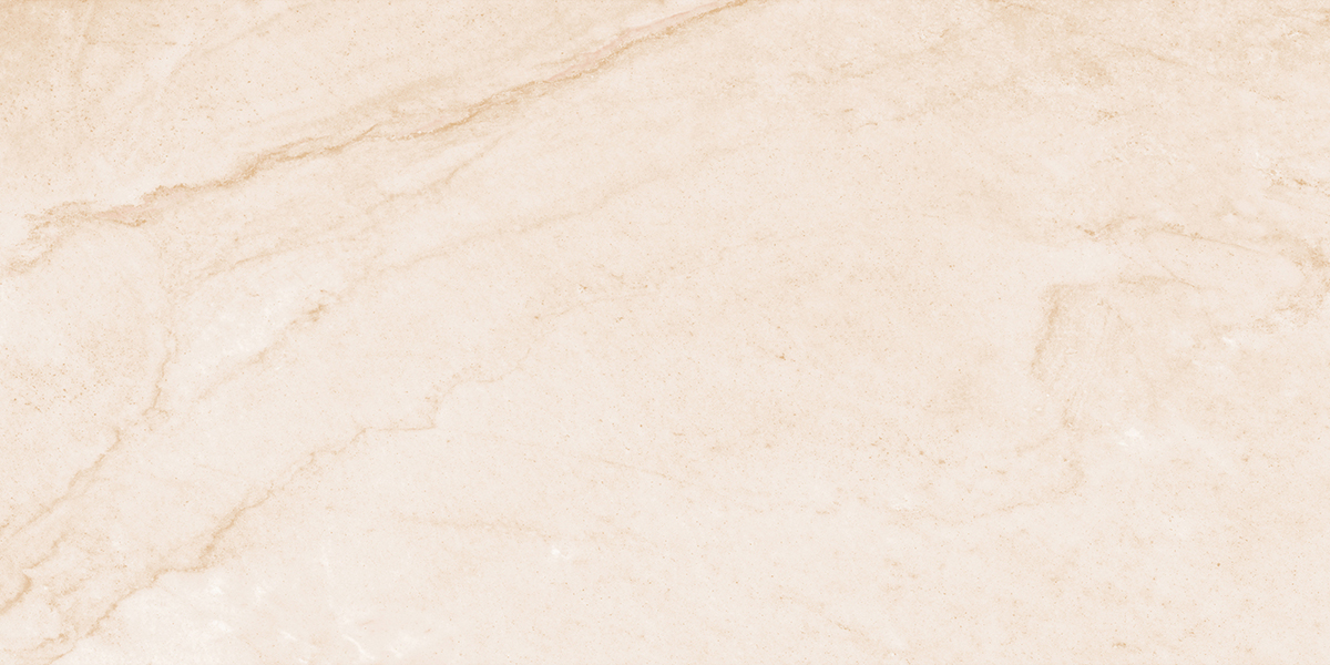 Gạch ốp lát 60x120 Ecotiles ECO-RC-61203 f2