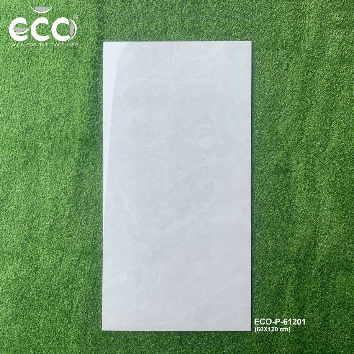 Gạch ốp lát 60x120 Ecotiles ECO-P-61201 tt