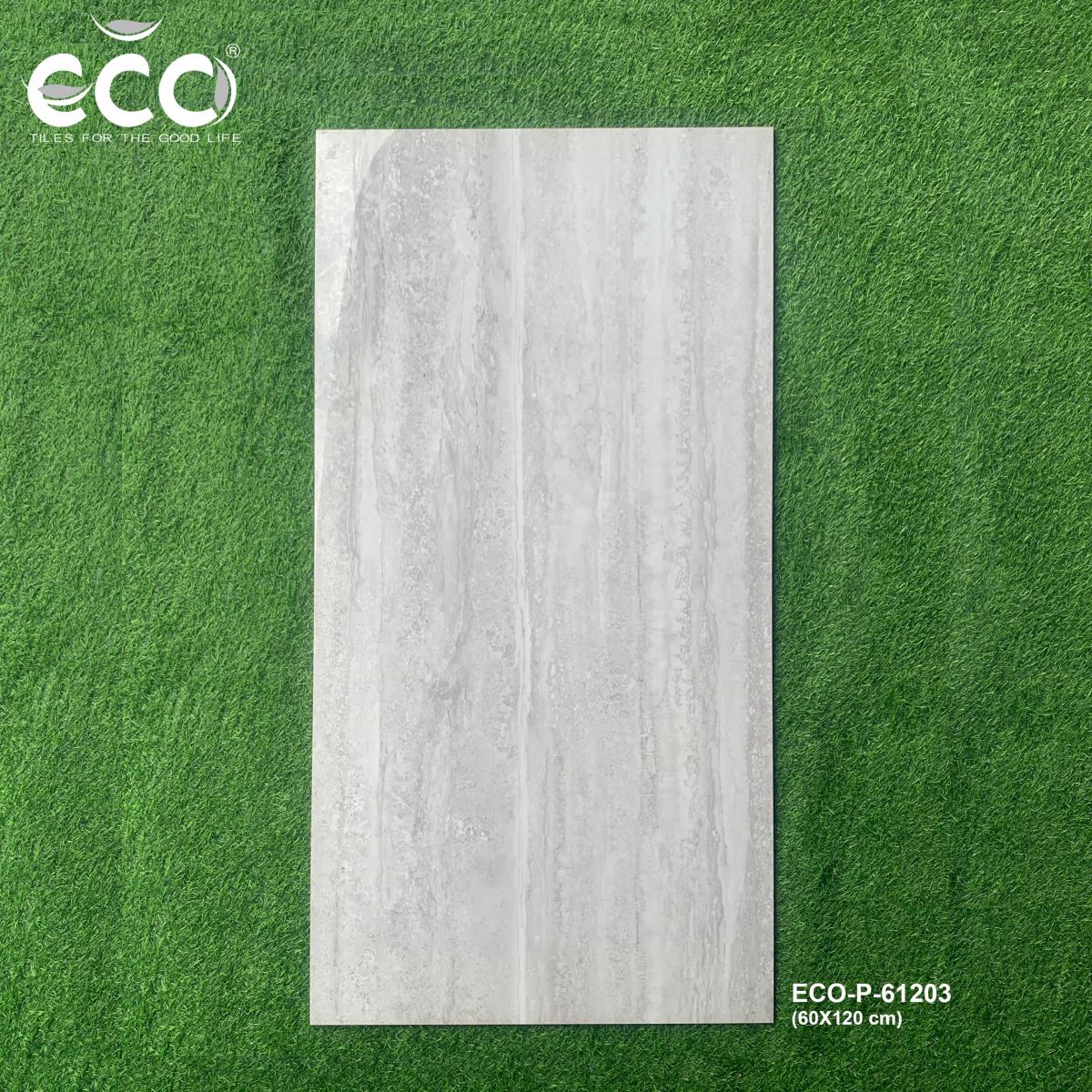 Gạch ốp lát 60x120 Ecotiles ECO-P-61203 tt