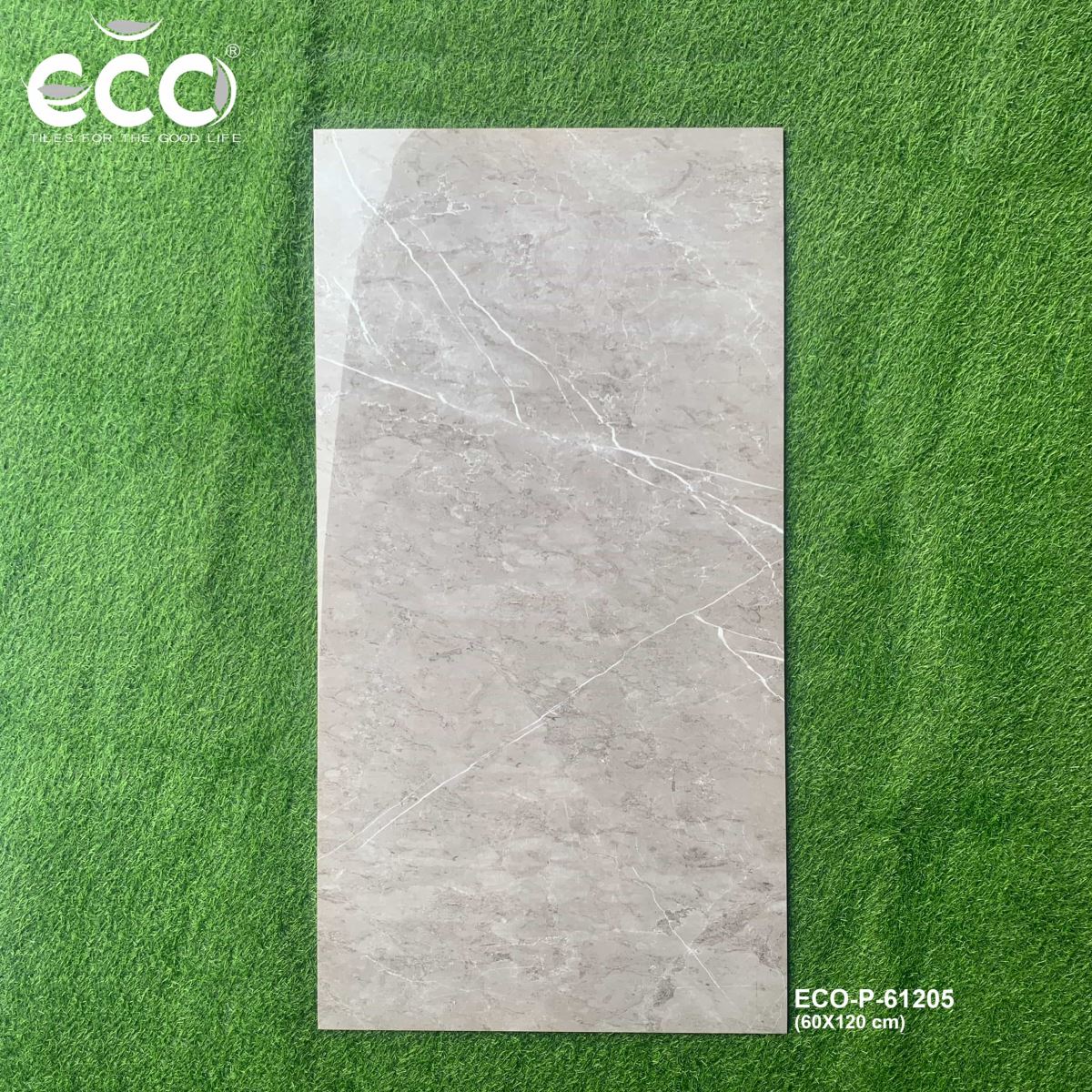Gạch ốp lát 60x120 Ecotiles ECO-P-61205 tt