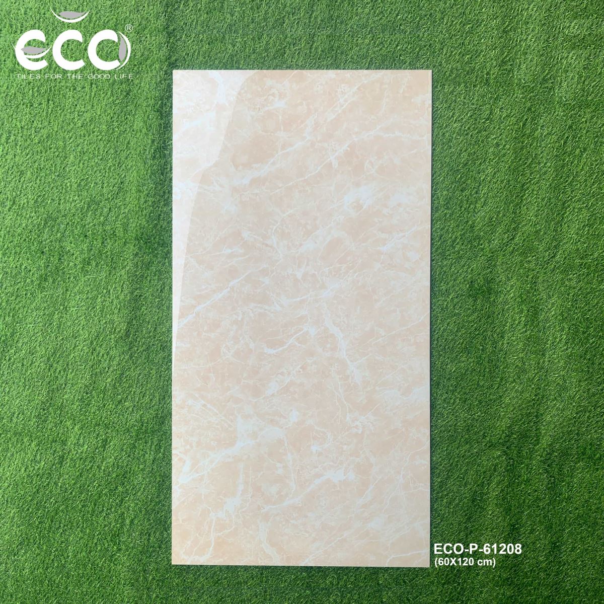 Gạch ốp lát 60x120 Ecotiles ECO-P-61208 tt