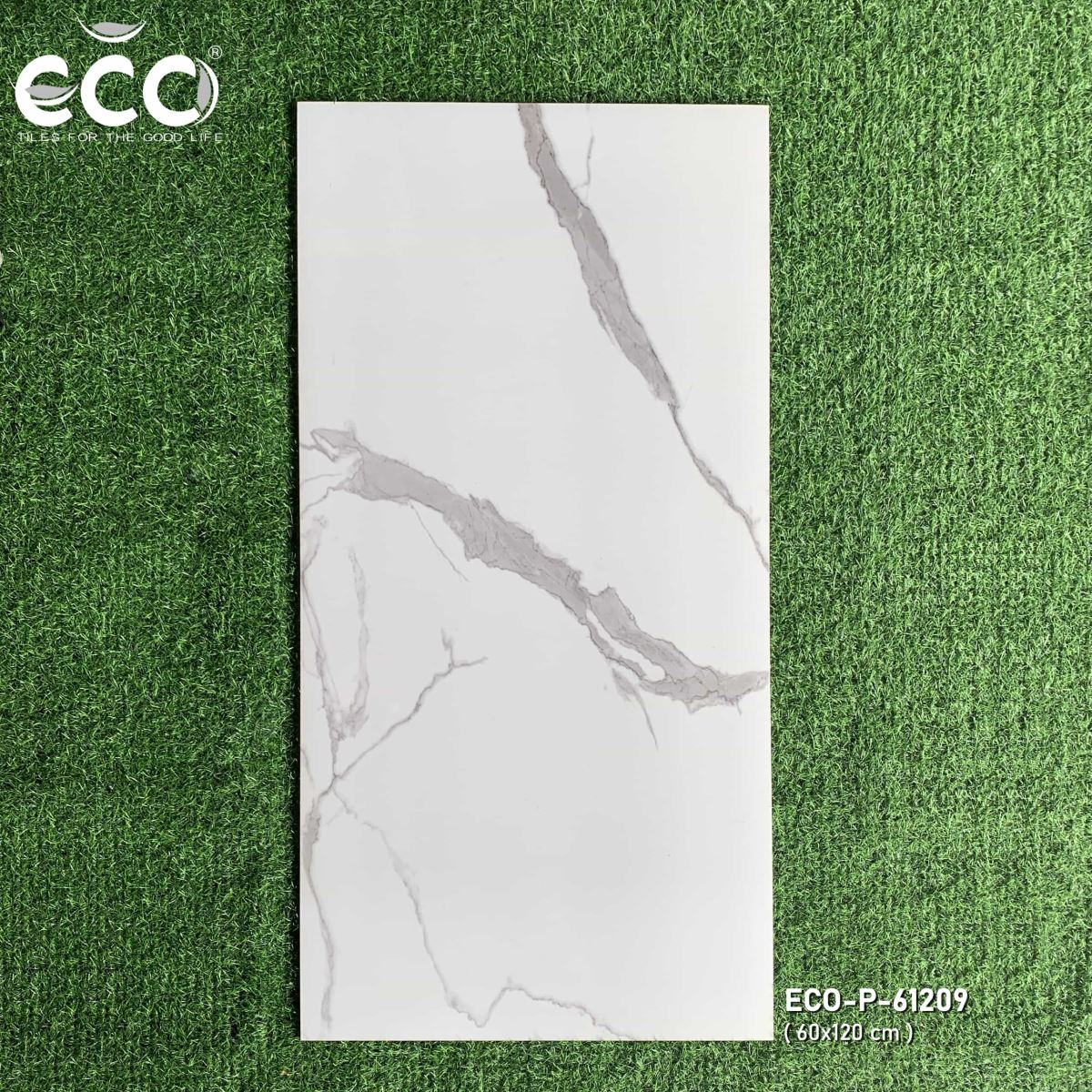 Gạch ốp lát 60x120 Ecotiles ECO-P-61209 tt