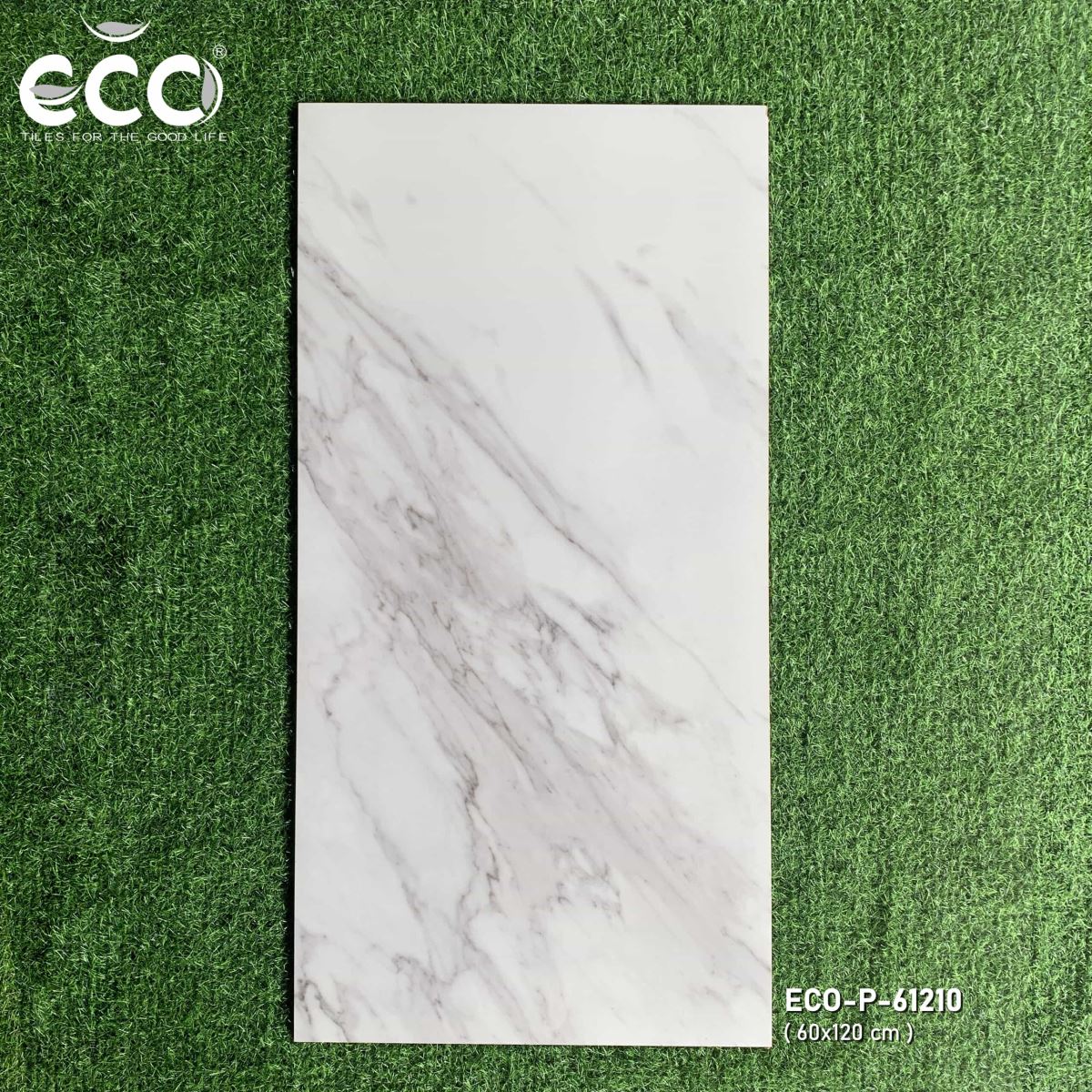 Gạch ốp lát 60x120 Ecotiles ECO-P-61210 tt