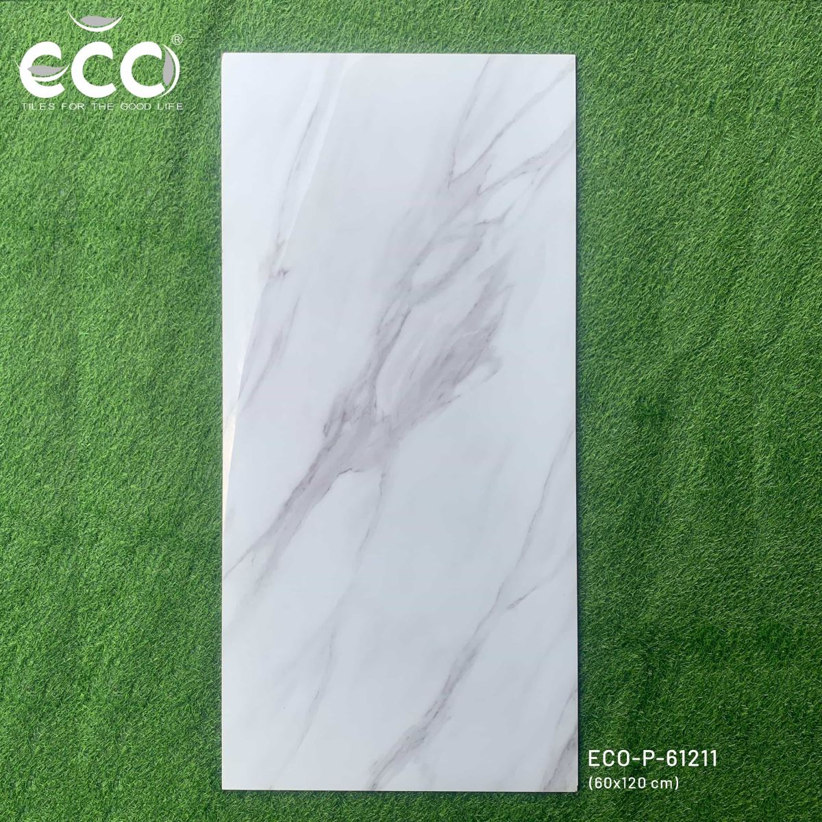 Gạch ốp lát 60x120 Ecotiles ECO-P-61211 tt