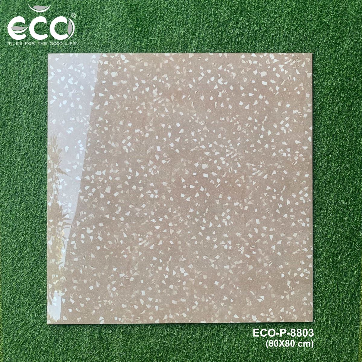 Gạch ốp lát 80x80 Ecotiles ECO-P-8803 tt