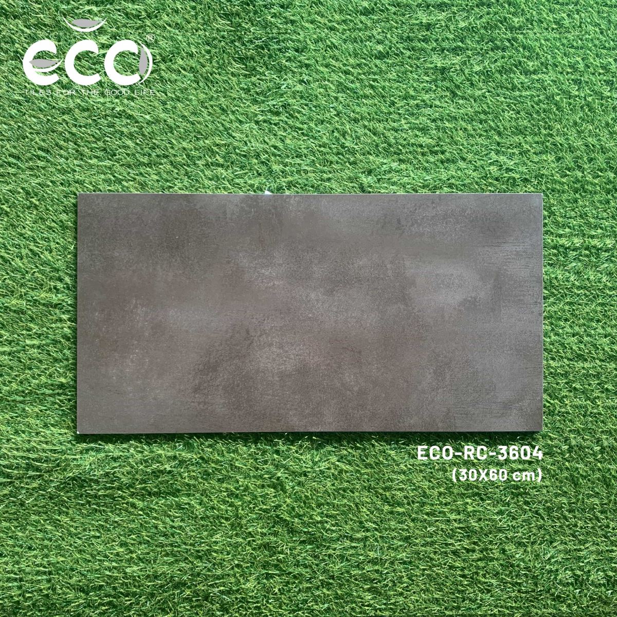 Gạch ốp lát 30x60 Ecotiles ECO-RC-3604 tt