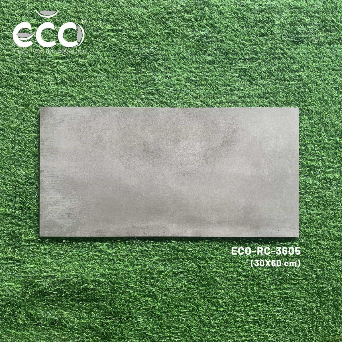 Gạch ốp lát 30x60 Ecotiles ECO-RC-3605 tt