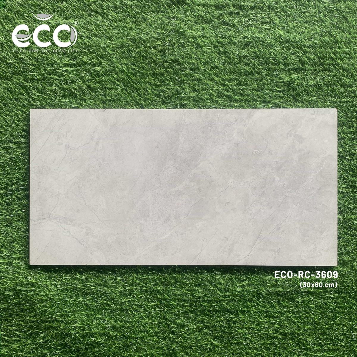Gạch ốp lát 30x60 Ecotiles ECO-RC-3609 tt