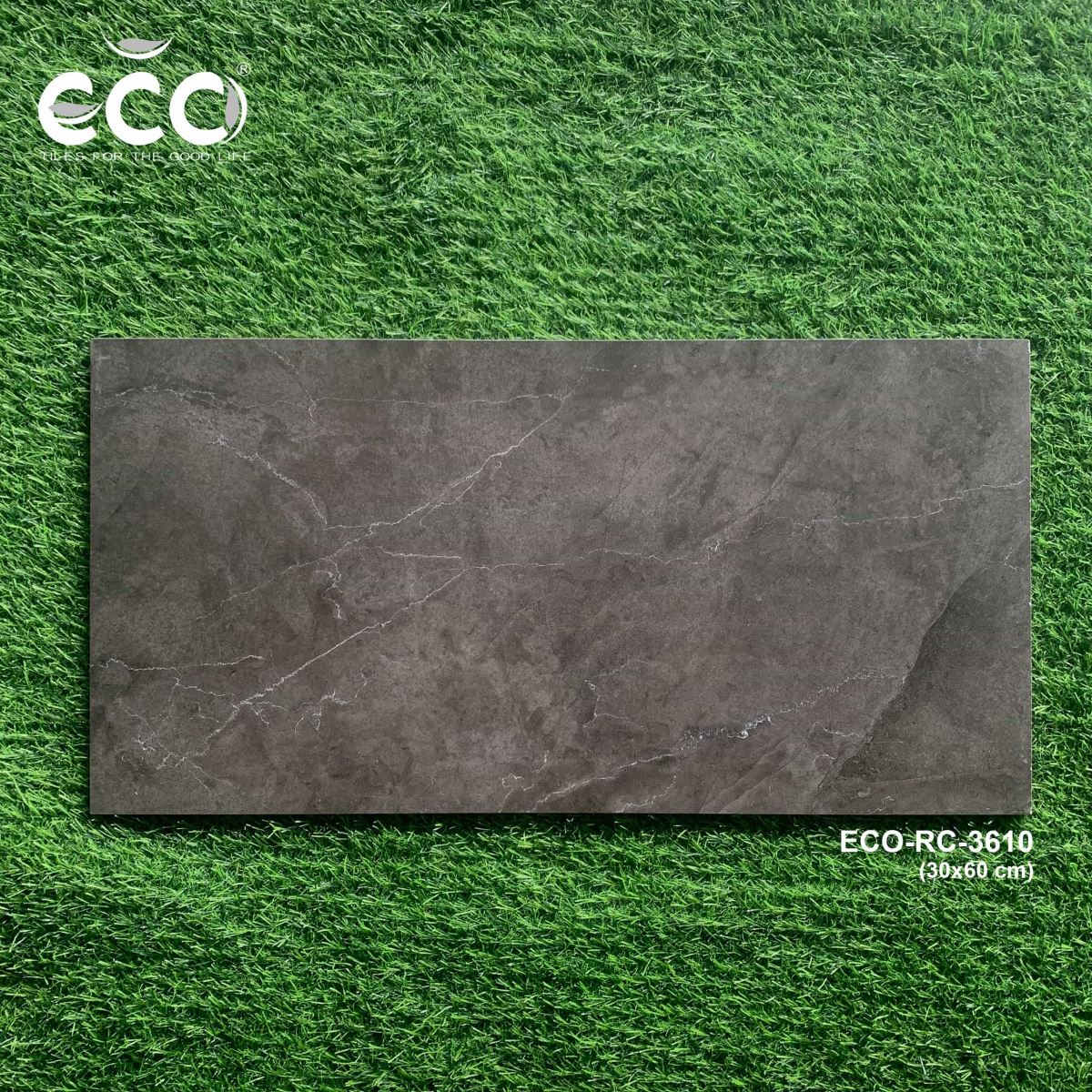 Gạch ốp lát 30x60 Ecotiles ECO-RC-3610 tt