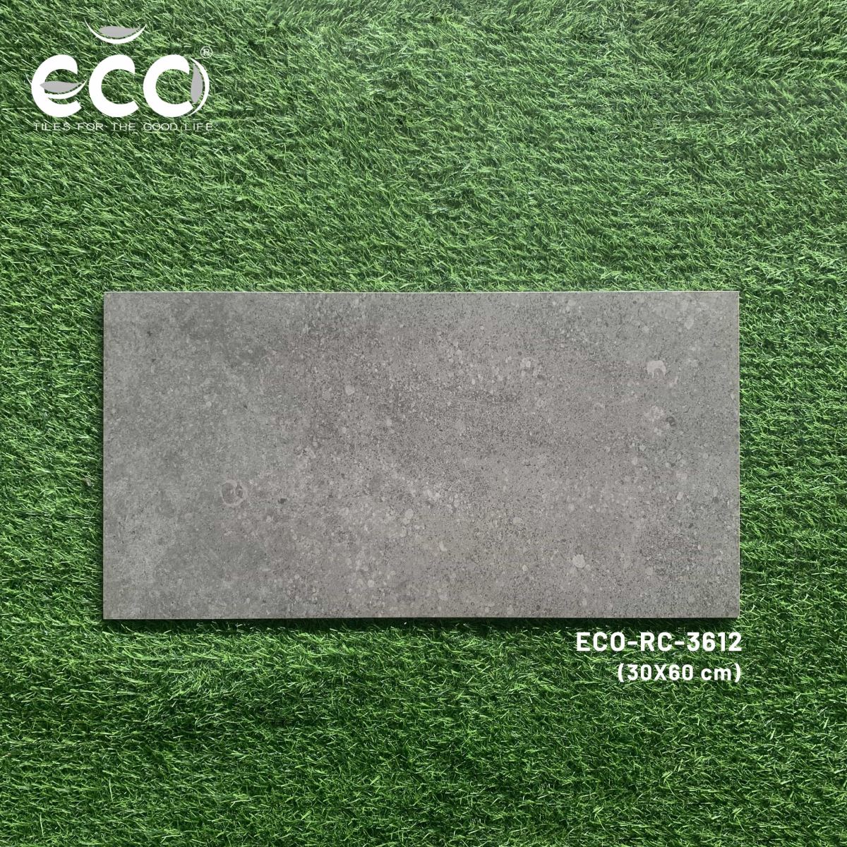 Gạch ốp lát 30x60 Ecotiles ECO-RC-3612 tt