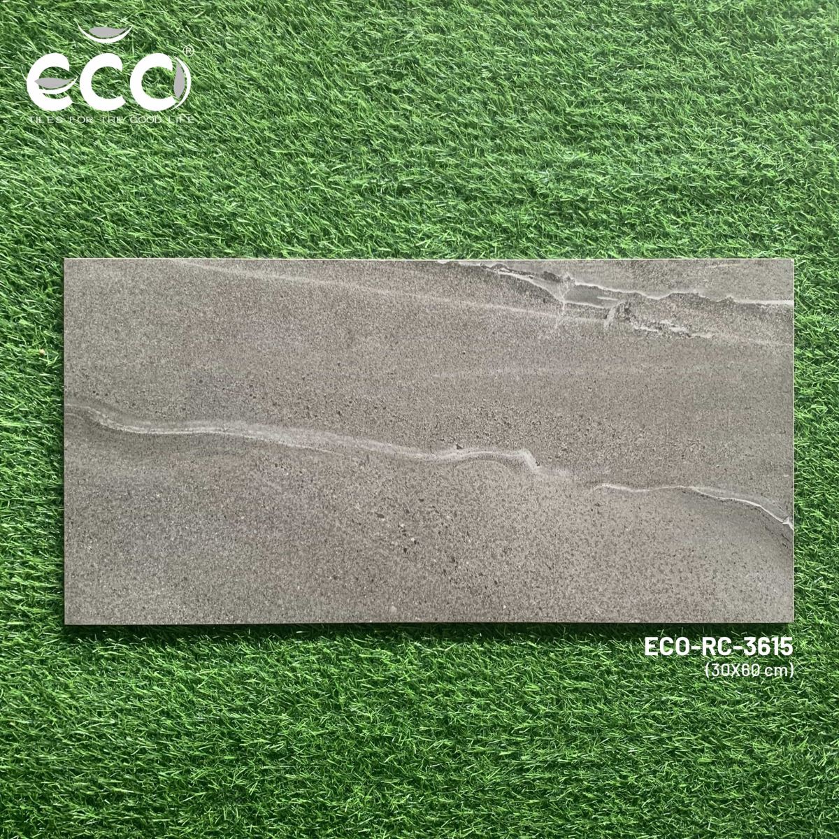 Gạch ốp lát 30x60 Ecotiles ECO-RC-3615 tt
