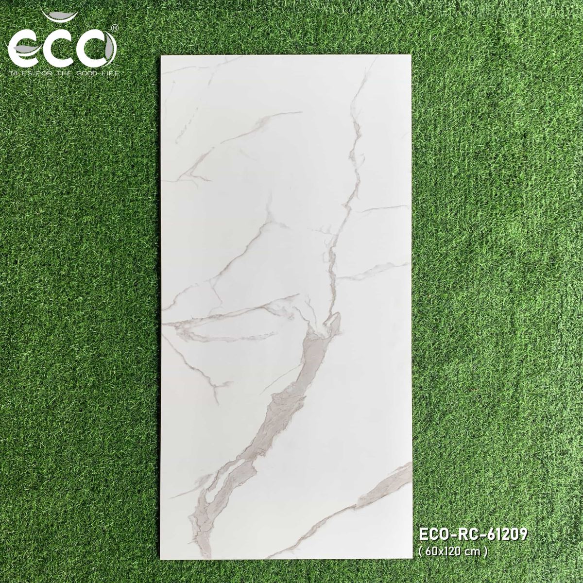 Gạch ốp lát 60x120 Ecotiles ECO-RC-61209 tt