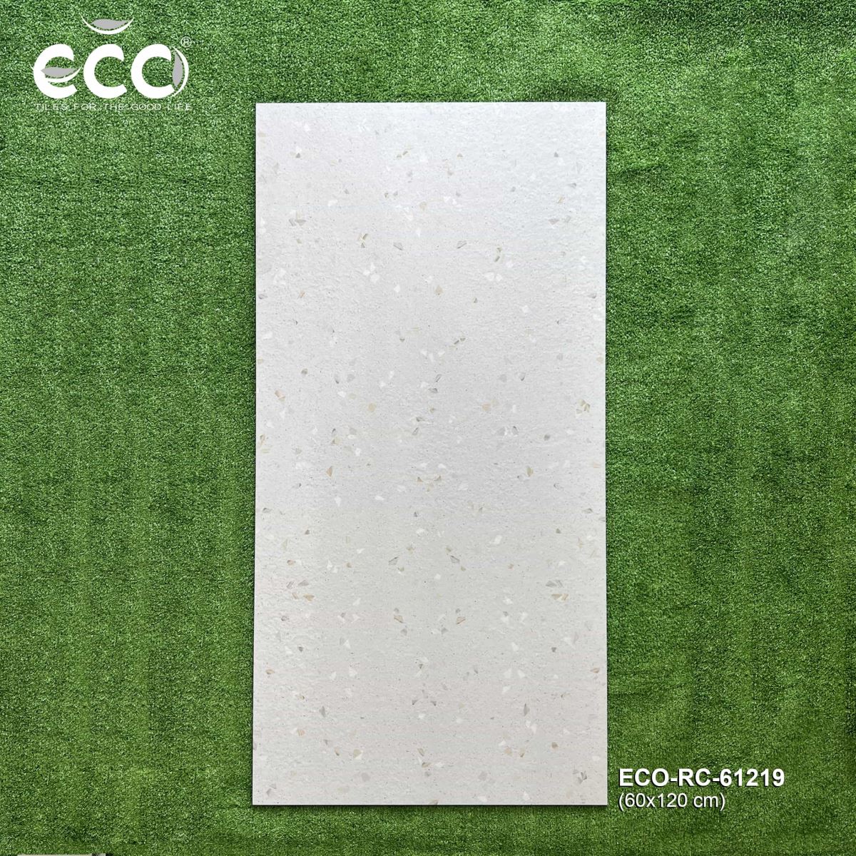 Gạch ốp lát 60x120 Ecotiles ECO-RC-61219 tt