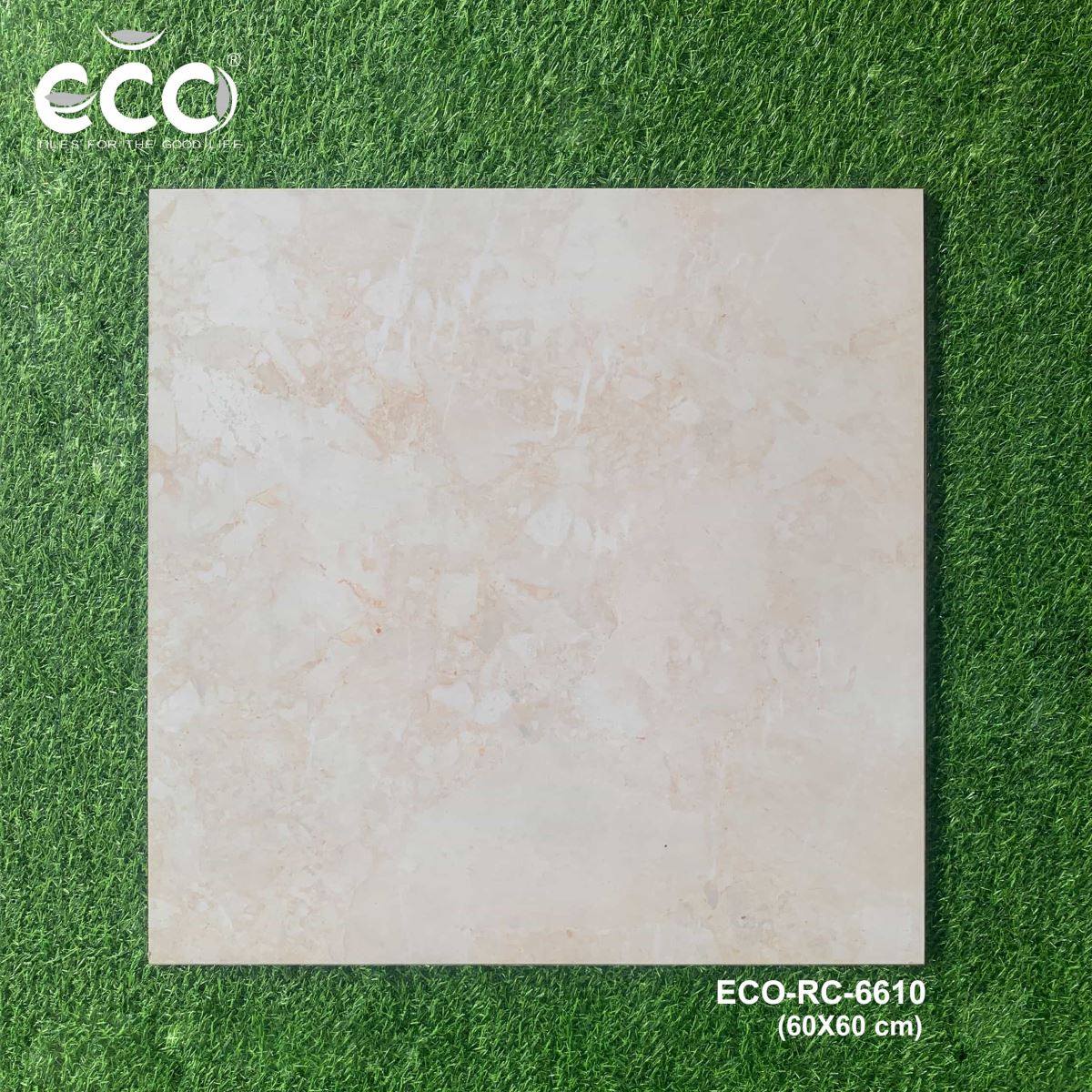 Gạch ốp lát 60x60 Ecotiles ECO-RC-6610 tt