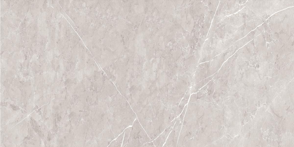 Gạch ốp lát 60x120 Ecotiles ECO-P-61205 f1