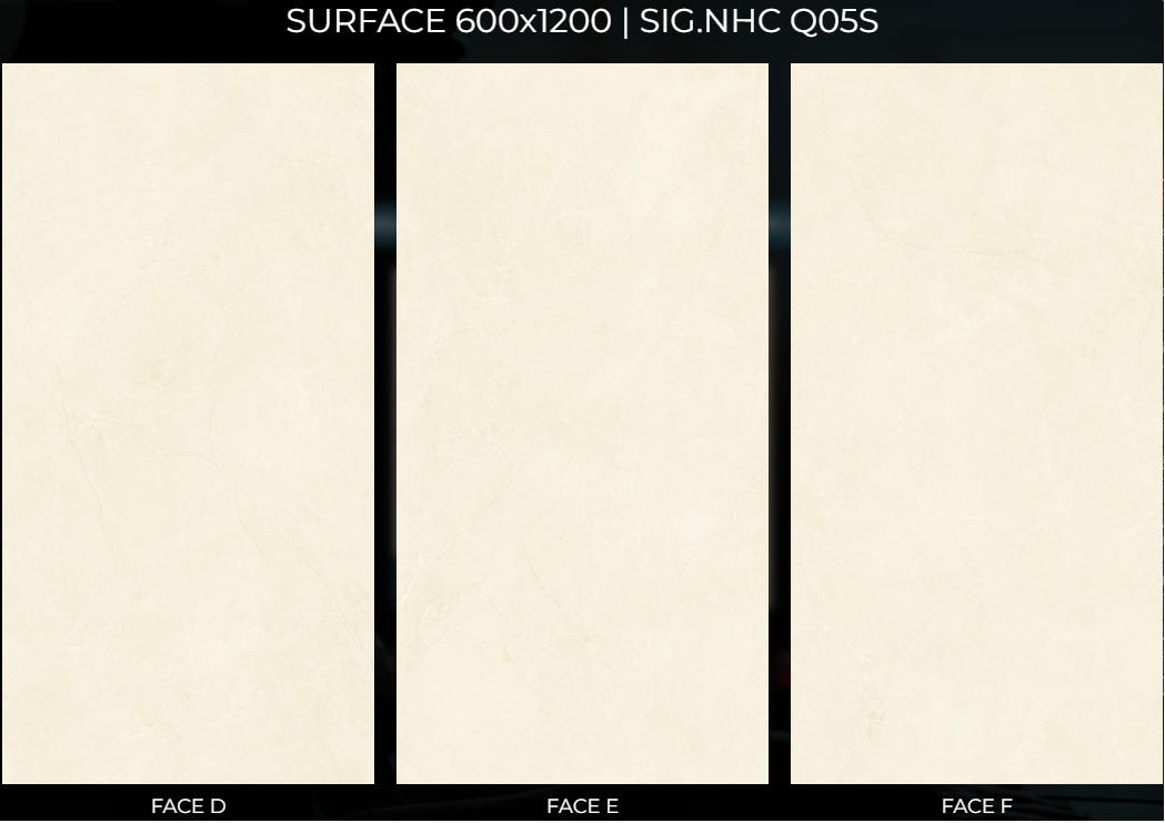 Gạch Eurotile 60x120 Nhã Ca SIG.NHC Q05S 2