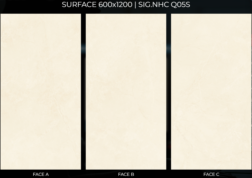 Gạch Eurotile 60x120 Nhã Ca SIG.NHC Q05S