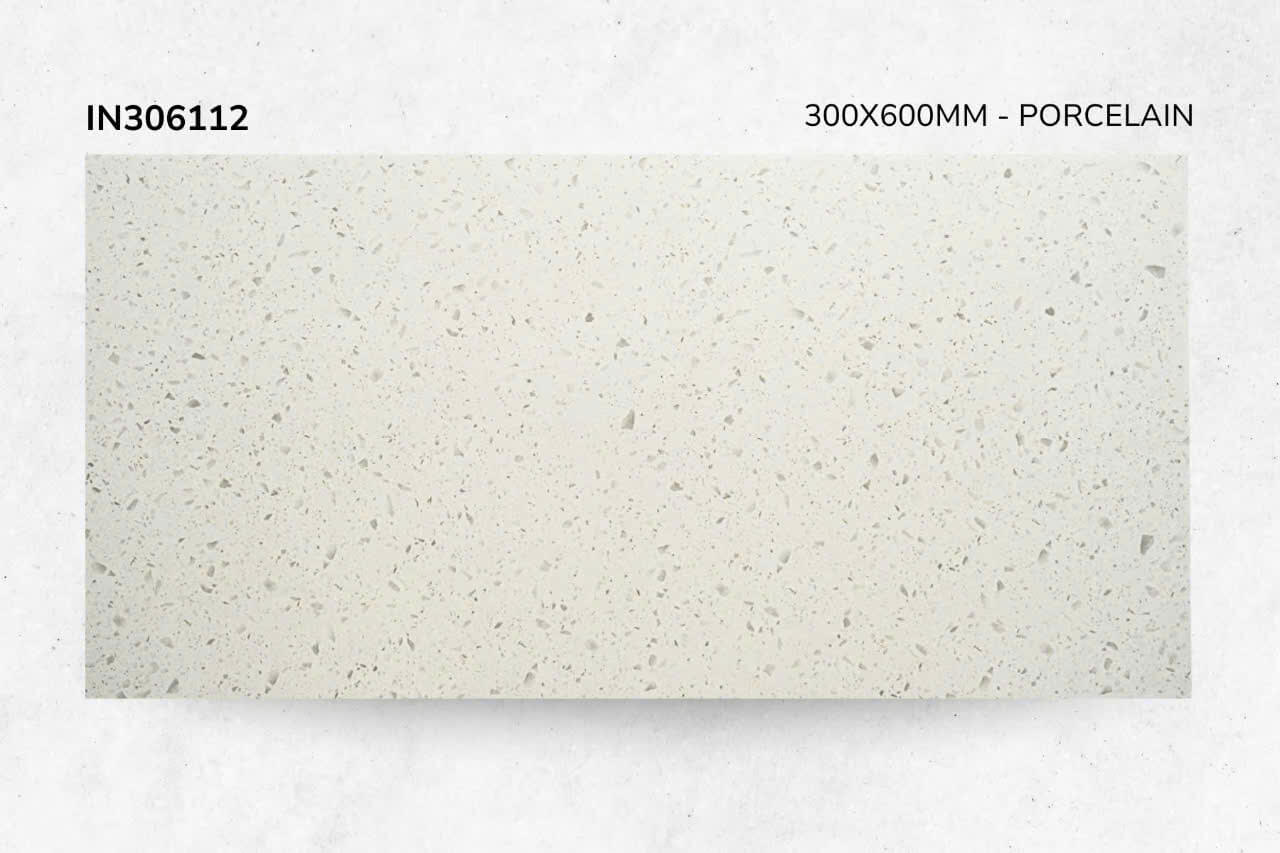 Gạch 30x60 Terrazzo IN306112