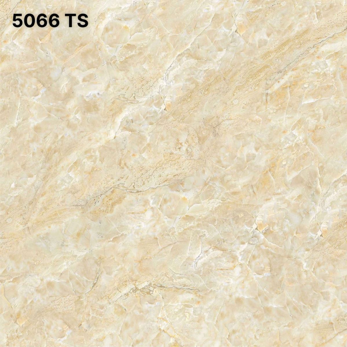 Gạch lát nền Tasa 60x60 5066 đá bóng kính, màu vàng vân đá 3