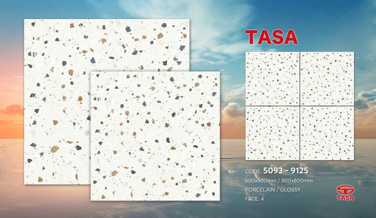 Gạch lát nền Tasa 60x60 5093 terrazzo