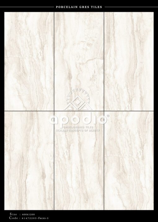 Gạch ốp lát 60x120 Apodio 61472205