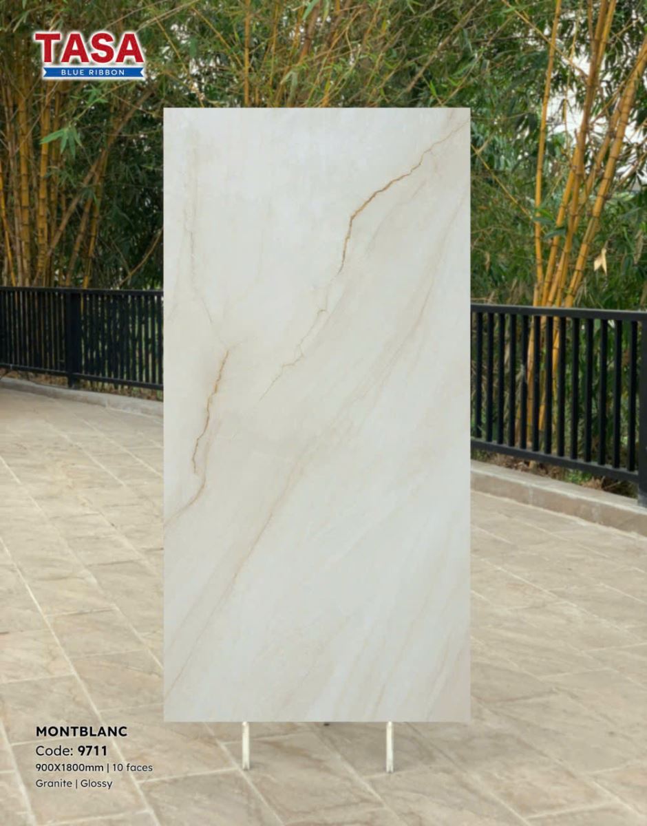 Gạch lát nền Tasa 90X180 9711