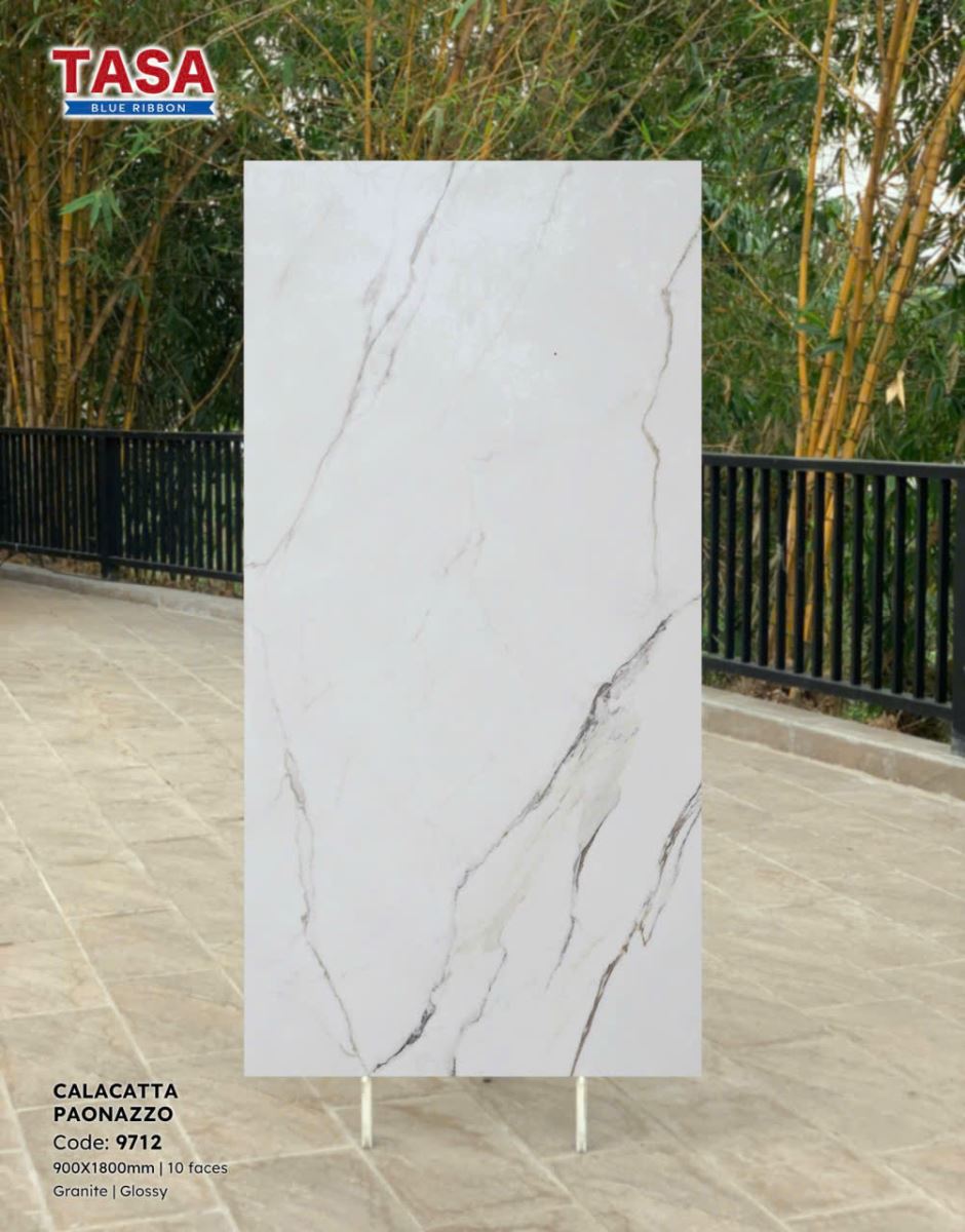 Gạch lát nền Tasa 90X180 9712