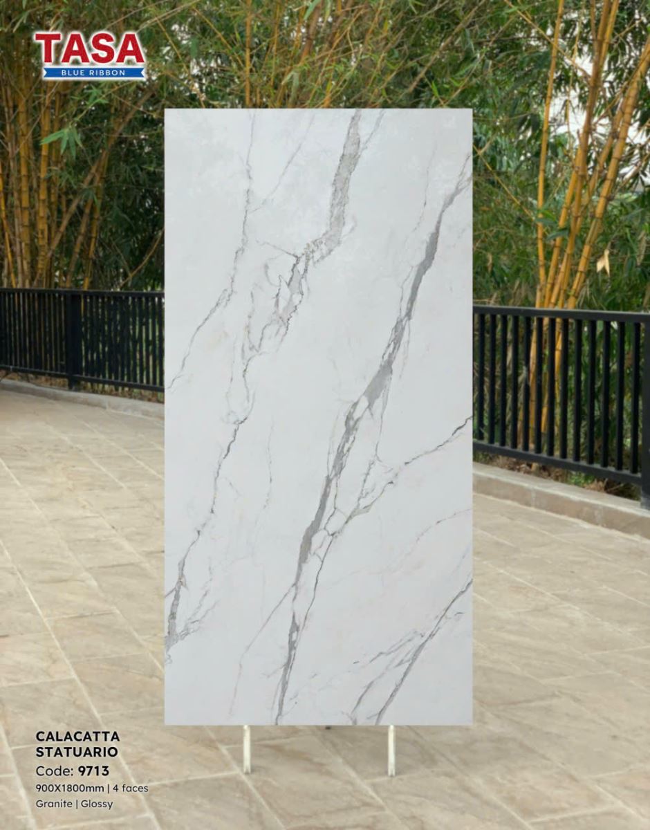 Gạch lát nền Tasa 90X180 9713
