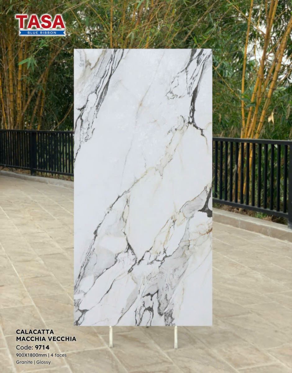 Gạch lát nền Tasa 90X180 9714