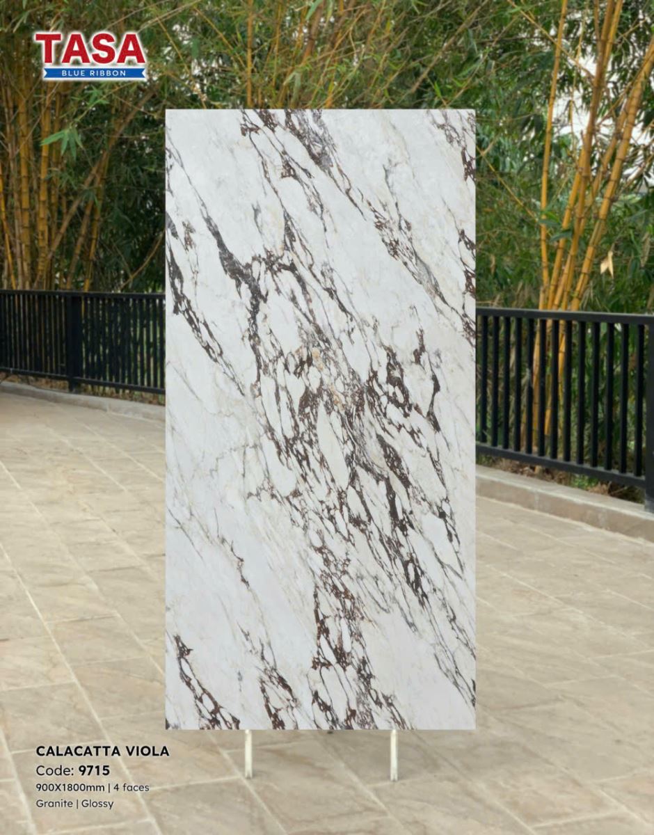 Gạch lát nền Tasa 90X180 9715