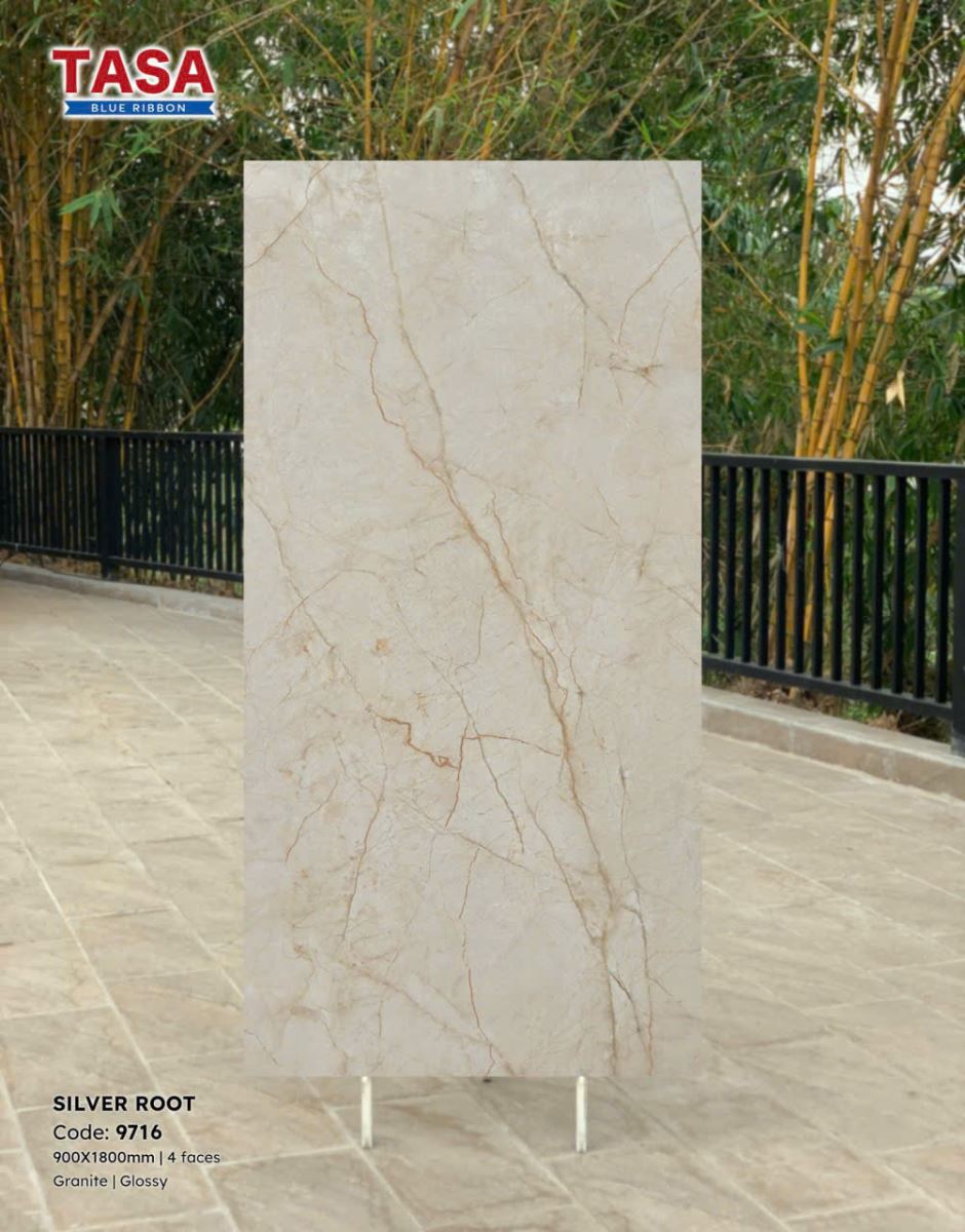 Gạch lát nền Tasa 90X180 9716