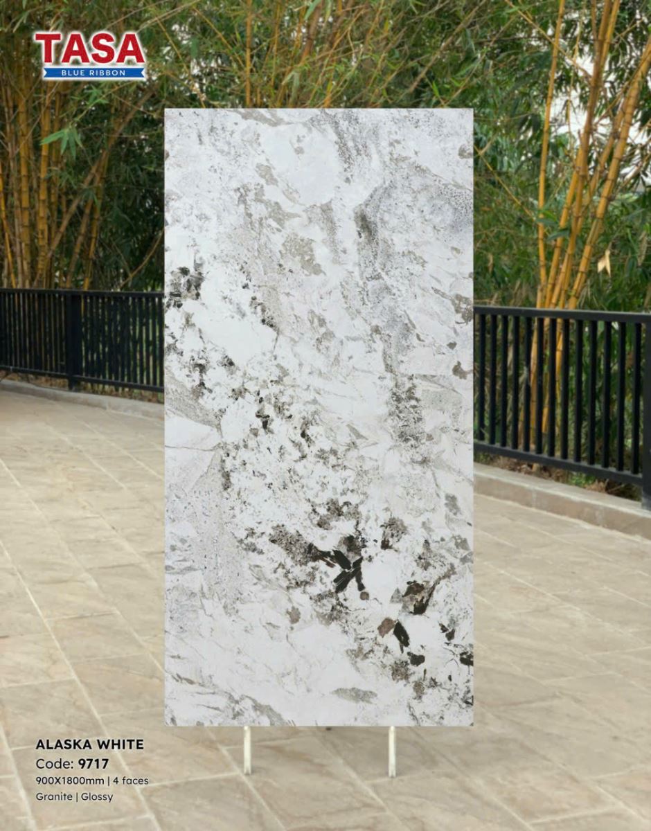 Gạch lát nền Tasa 90X180 9717