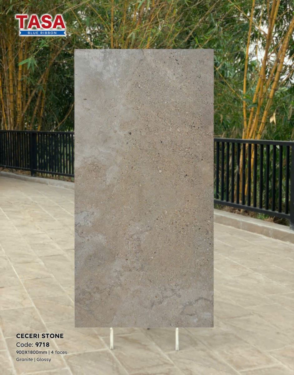 Gạch lát nền Tasa 90X180 9718