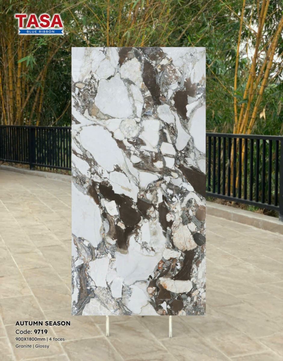 Gạch lát nền Tasa 90X180 9719