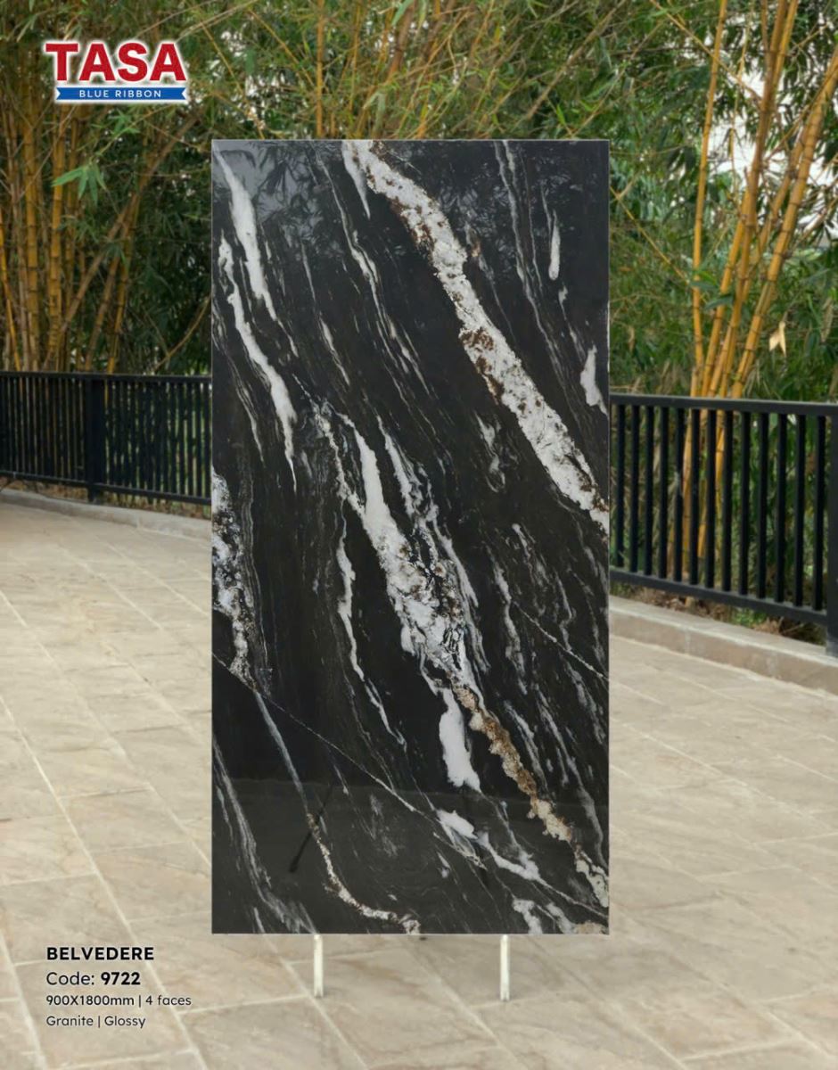 Gạch lát nền Tasa 90X180 9722