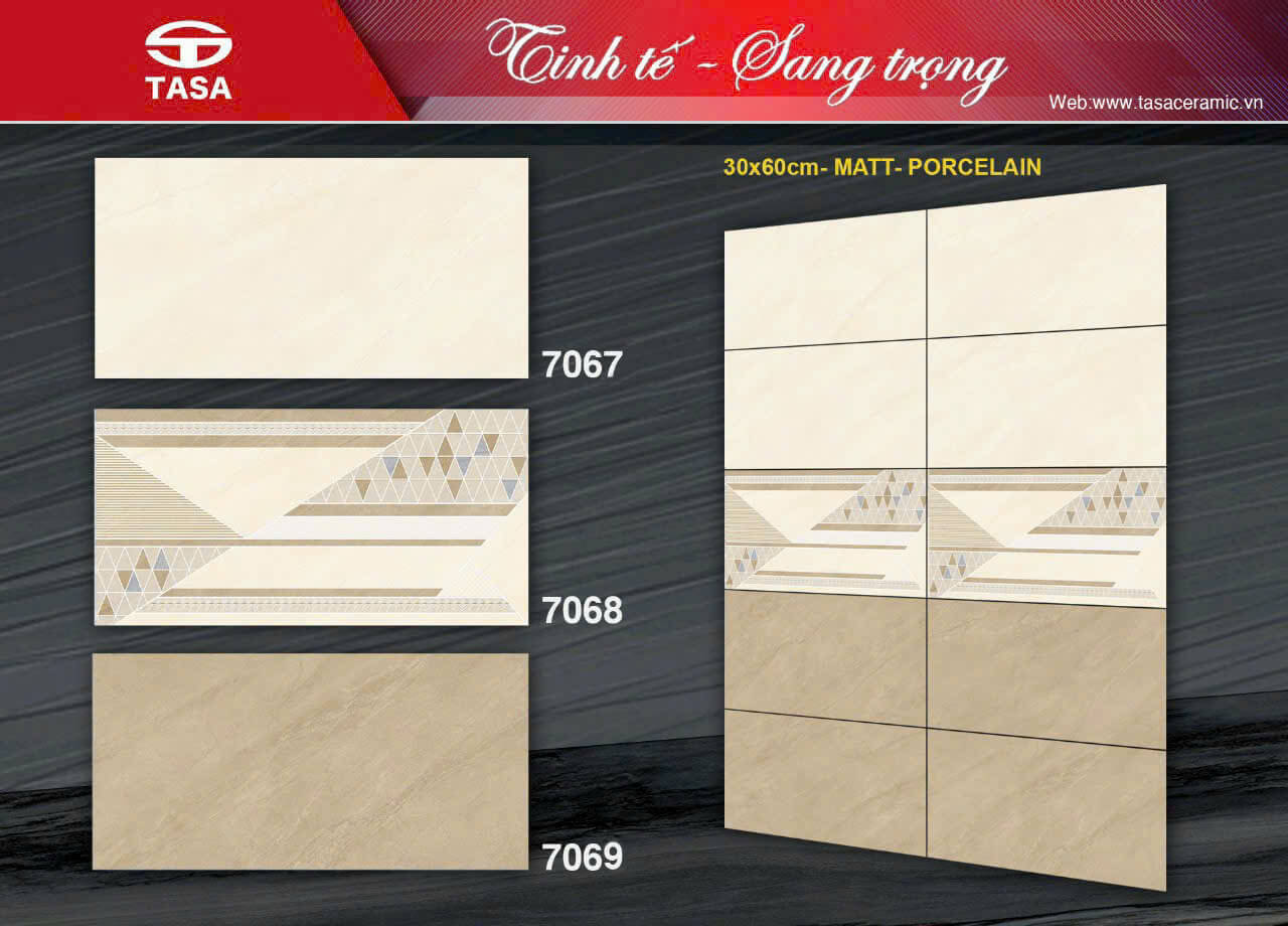 Gạch Ốp Tường Porcelain 30x60 TS 7067-7068-7069 Mờ matt