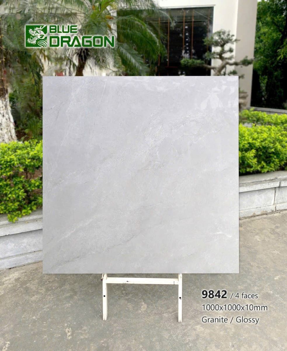 Gạch lát nền Tasa 100x100cm 1.BD100.9842