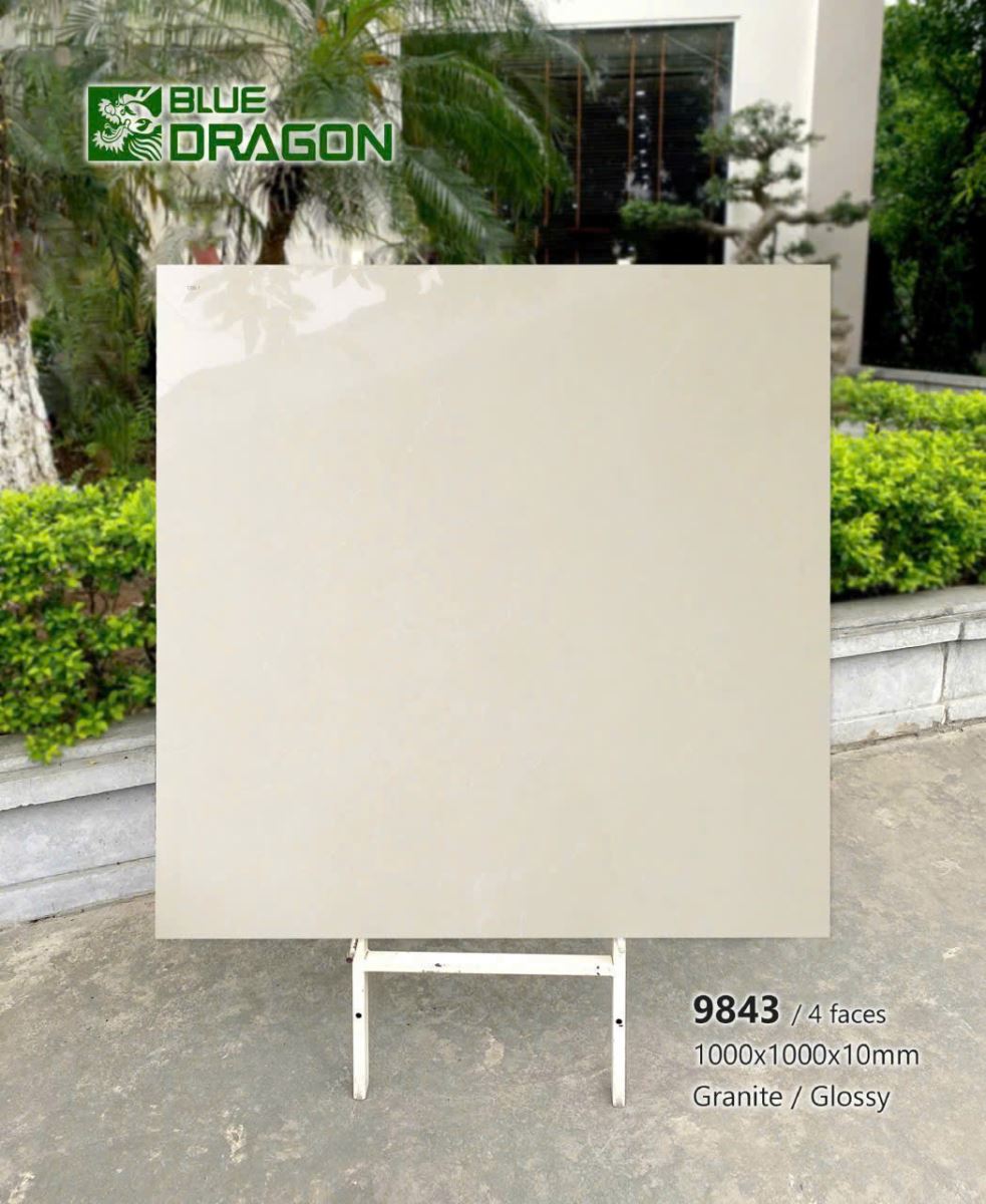 Gạch lát nền Tasa 100x100cm 1.BD100.9843