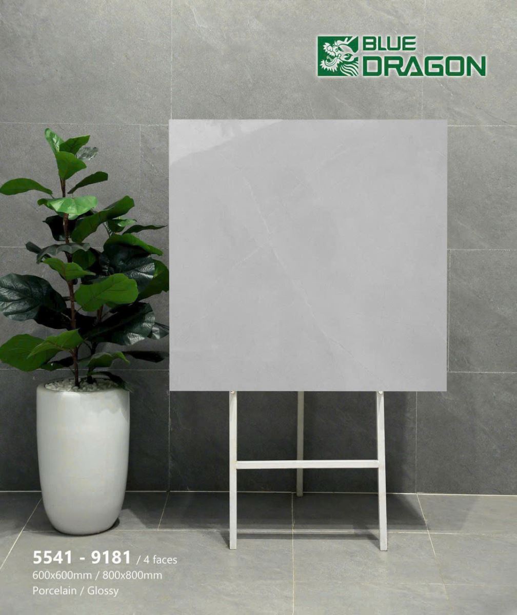 Gạch lát nền Bluedragon 80x80cm 01.BD80.9181