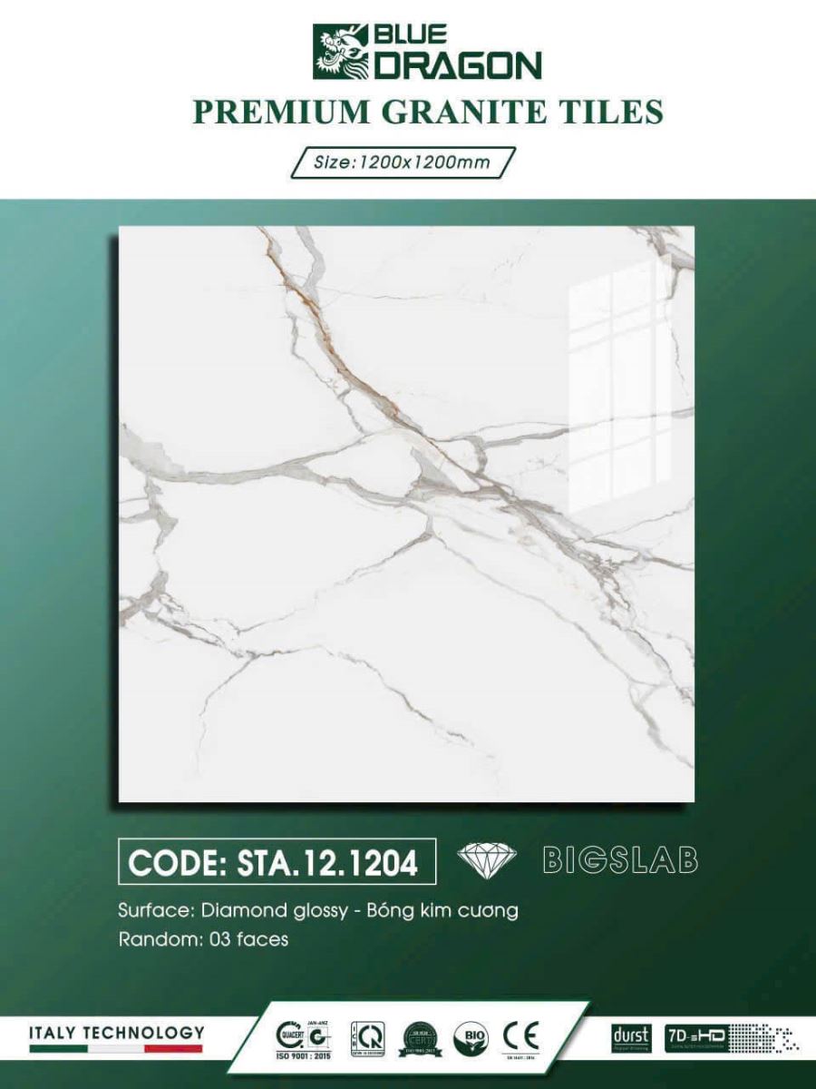 Gạch ốp lát 120x120 TSA.12.1204