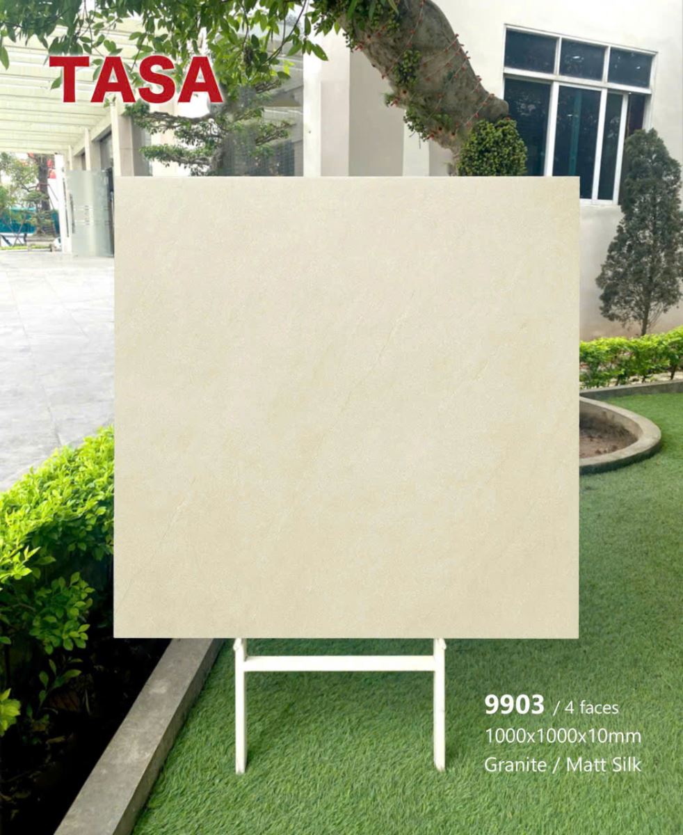 Gạch lát nền Tasa 100x100 9903 Mờ mịn