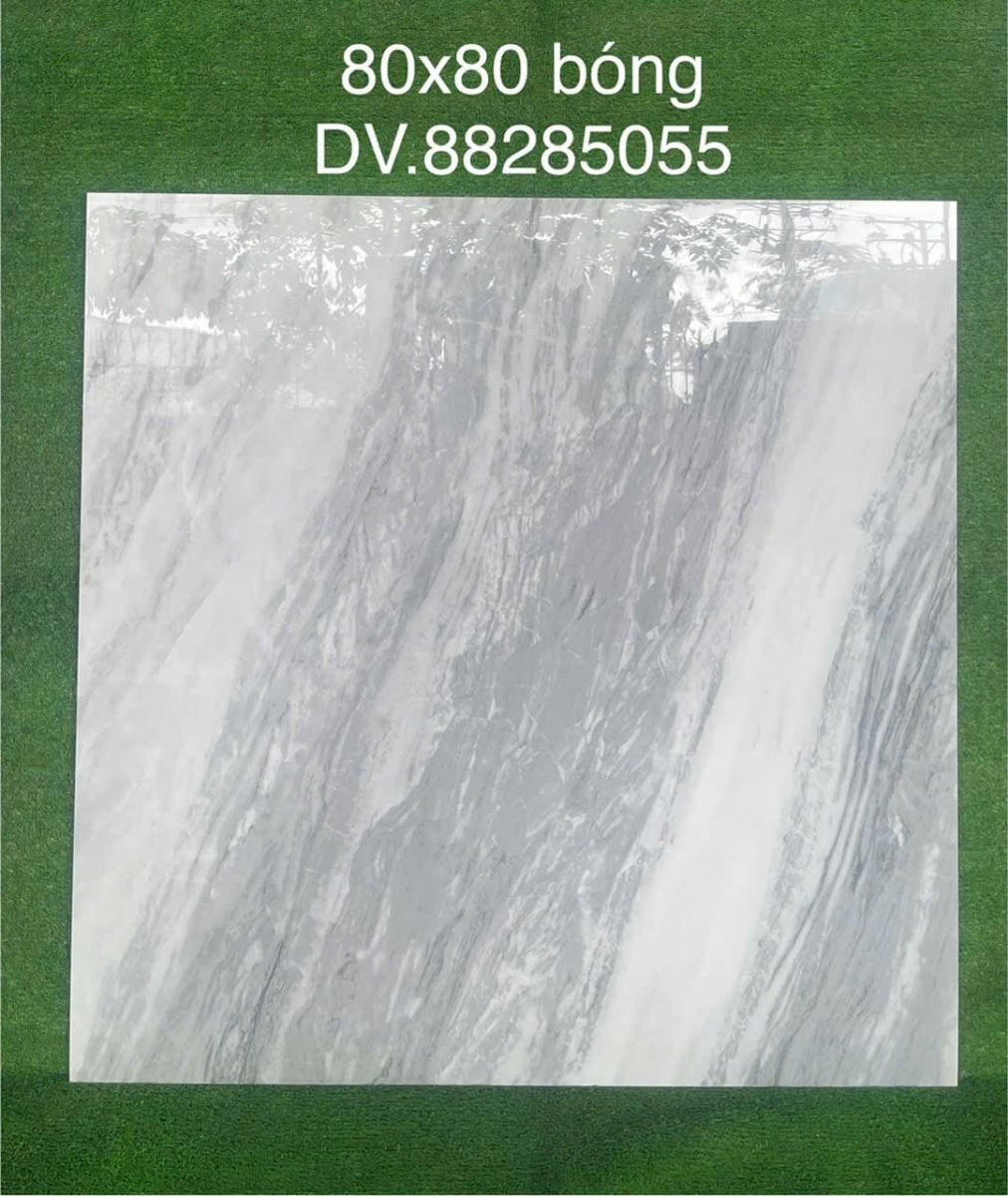 Gạch ốp lát 80x80 Apodio 88285055