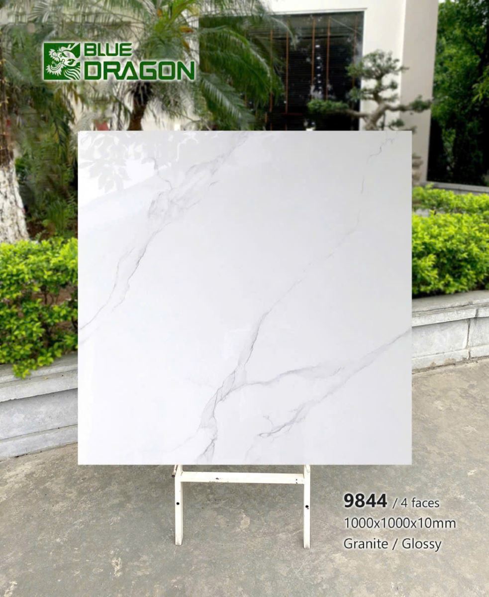 Gạch lát nền Tasa 100x100cm 1.BD100.9844