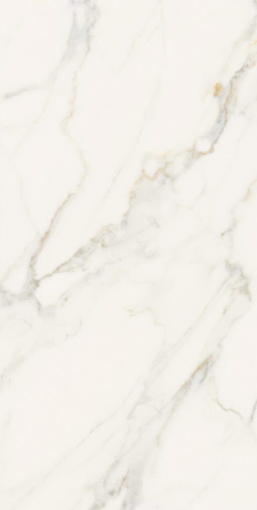 Gạch ốp lát 60x120 Apodio Marvel 61161001 4