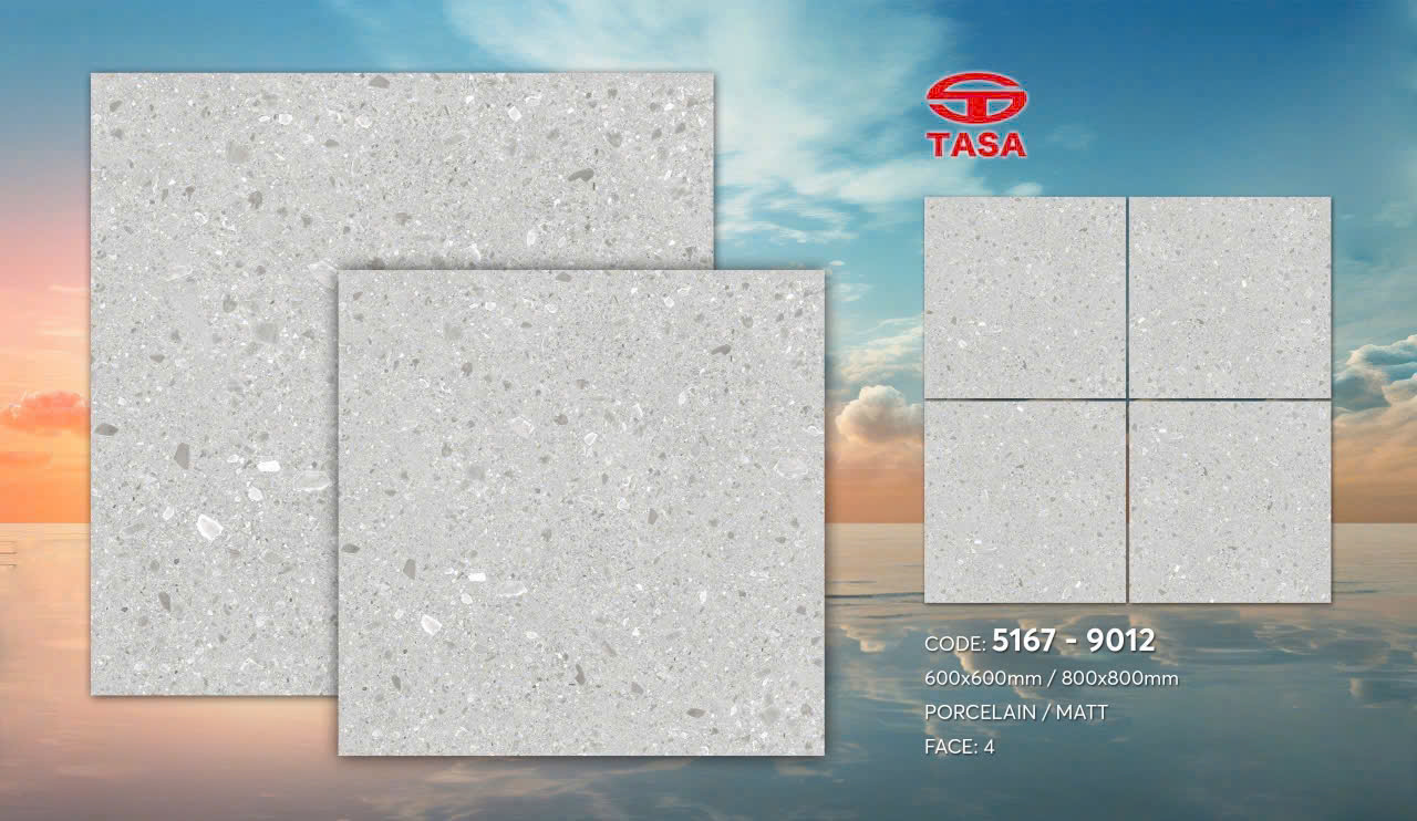 Gạch lát nền Tasa 60x60 5167 Terrazzo matt
